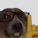 NerdDog