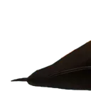walrus_1