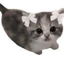 bebe