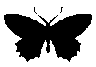 1136544786074054696