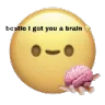 brain