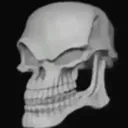 skull