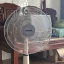 Fan