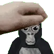 monkepet