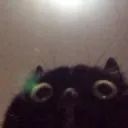 hoh