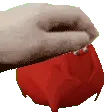upet