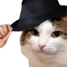 Cattiphat Discord Emoji