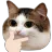 hmmm_thinking_cat