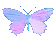 butterfly butterfly
