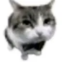 fino