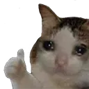 SadCatThumbUp Discord Emoji