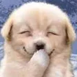 Laugh