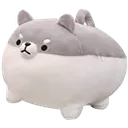 dgo
