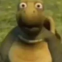 worryturt