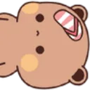 bear_slipper