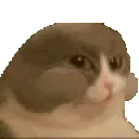 nom