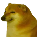 sadDoge
