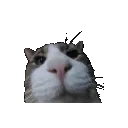 24 24