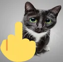 middle_finger