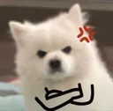 remi_angry