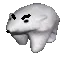 polarbear_angry polarbear_angry