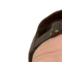 Staniel1