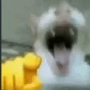 HAAAAAAAAA HAAAAAAAAA
