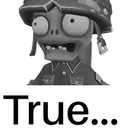 soldiertrue