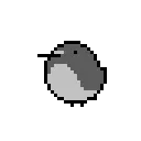 birdENG