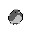 birdFR