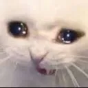 emoji_79