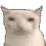 cateat