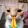 gato