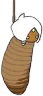 burn_moth