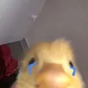 INT_Ducksad Discord Emoji