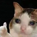 INT_SadKay Discord Emoji