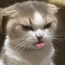 emoji_155