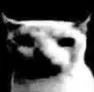 bwuadespair