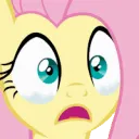 FlutterNOO