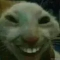 jej