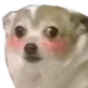 emoji_100