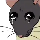 cry cry