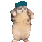CatDance