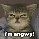 AngryKitten Discord Emoji