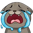 cry