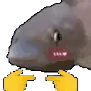 fishShy