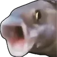 pogFish