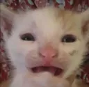 AUGHAHH