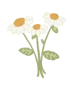 h1flowers1
