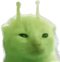 glorp glorp